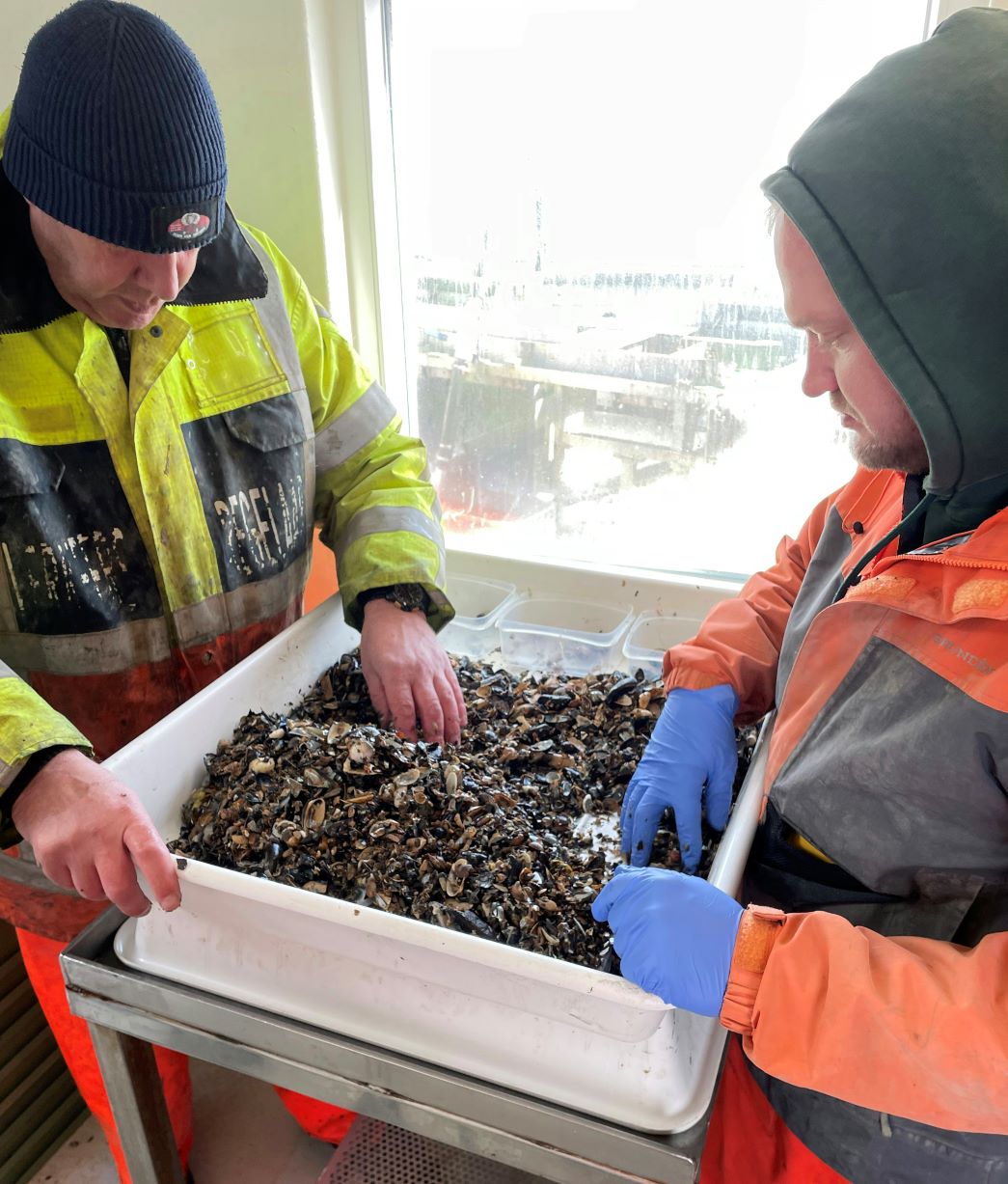 bodemleven uitgezocht de boontjes tcm26 354186