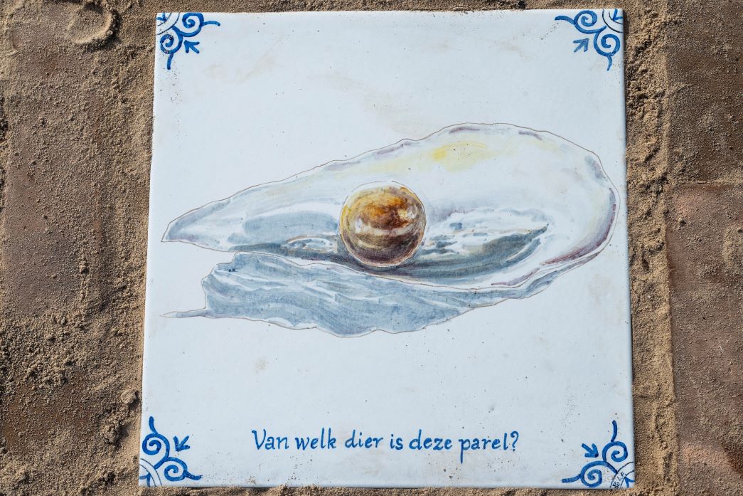 Een van de tegels Educatieve Looproute (002)