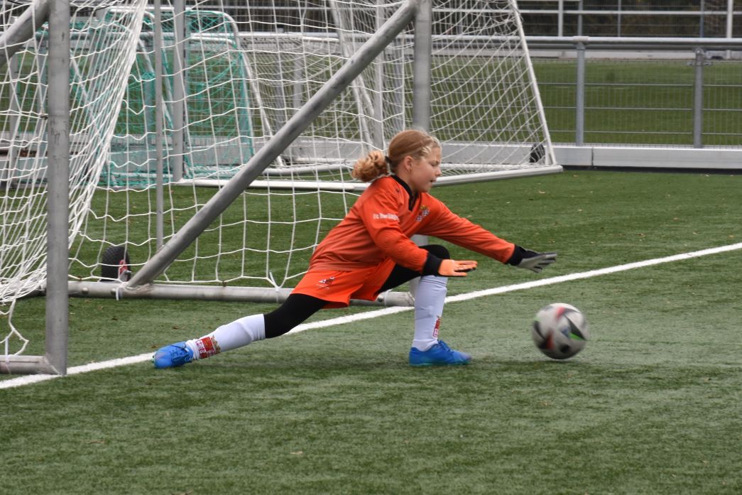 fc Harlingen MO11 1 (2) h42