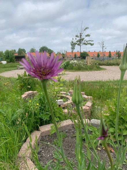 5 jaar Stadstuin Harlingen – Kom feestvieren!