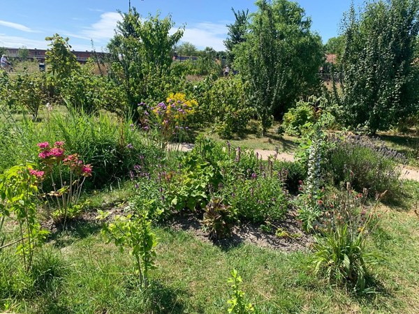 Eten in de Tuin