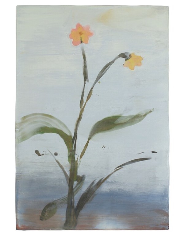Expositie Herfstbloemen