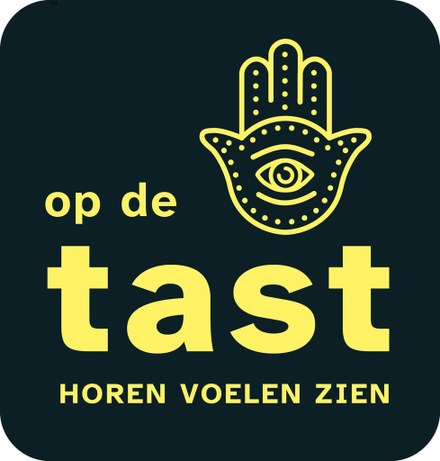 Kunstexpositie 'Op de Tast'
