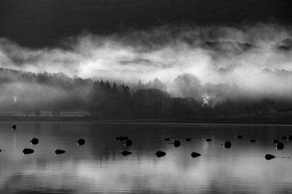 Nieuwe expositie in Het Brouwdok