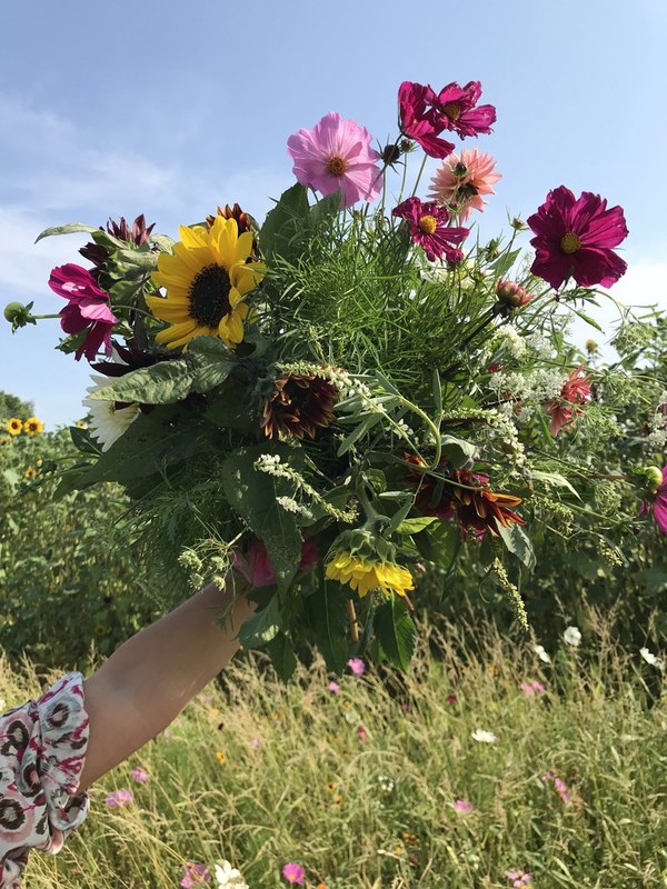Opening zadenbieb in bibliotheek Harlingen
