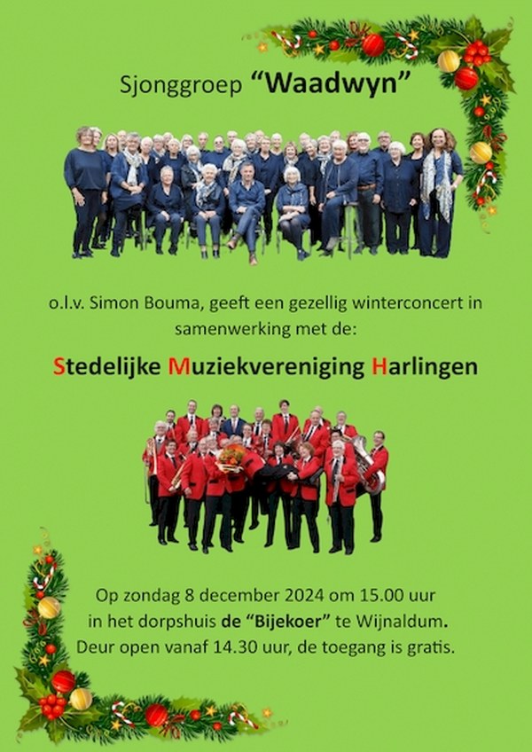 Winter/Kerst concert Sjonggroep Waadwyn