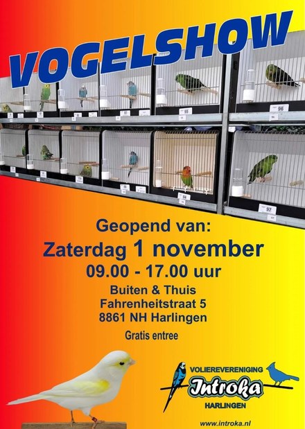 Vogelshow Introka