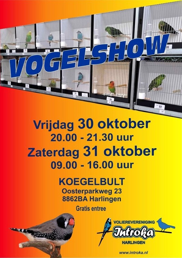 Vogelshow Introka in De Koegelbult