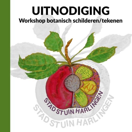 Workshop botanisch schilderen/tekenen in de Stadstuin Harlingen
