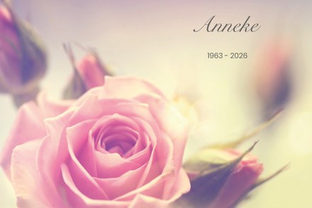 Overlijdensbericht Anna Sandbrink - Bierma