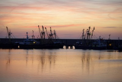 Overlijdensbericht Hendrik Steenbergen