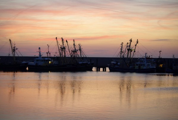 Overlijdensbericht Hendrik Steenbergen