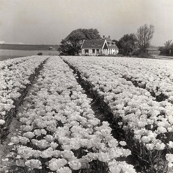 Overlijdensbericht Julia Maria Jorna