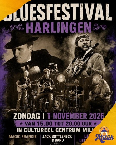 Harlinger Bluesfestival maakt zich op voor uitverkocht jubileumfeest