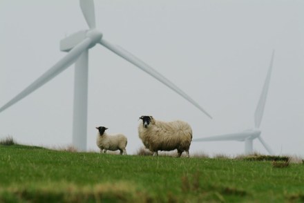 Baanbrekende duurzame en groene initiatieven van Nederlandse gemeenschappen