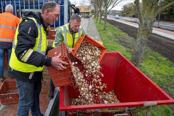 Bloemenpracht bij Kimswerda