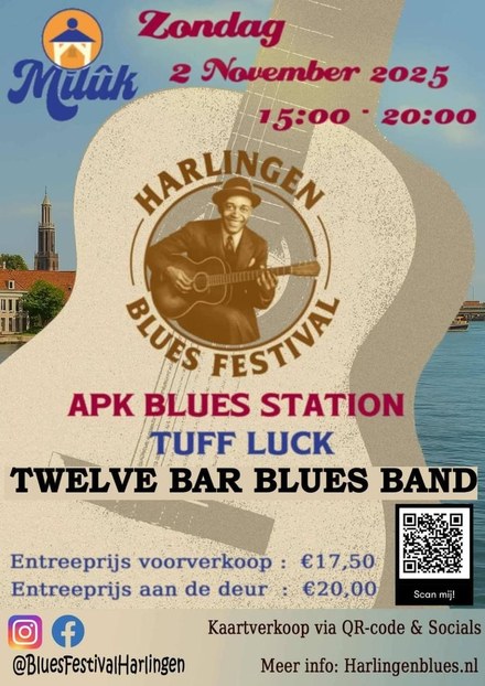 Bluesfestival Harlingen eert Age Tolsma