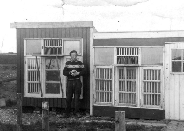 De postduivensport in Harlingen 90 jaar