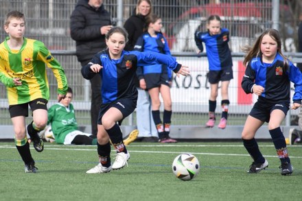 Fc Harlingen nieuws week 12 - 2026