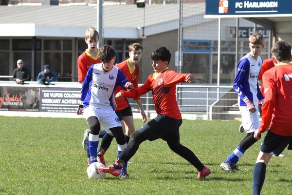 Fc Harlingen nieuws week 14 - 2026