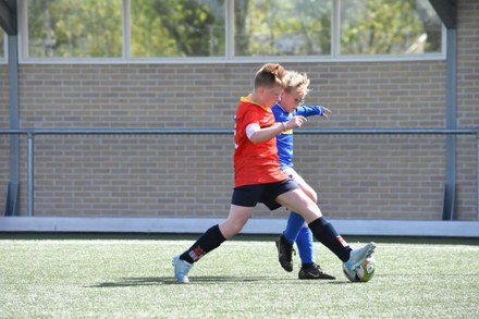 Fc Harlingen nieuws week 19 - 2025