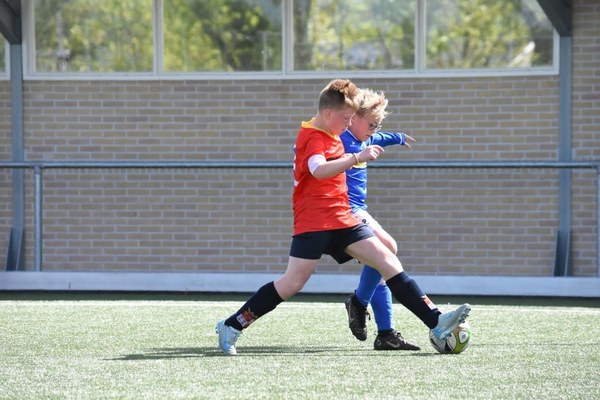 Fc Harlingen nieuws week 19 - 2025