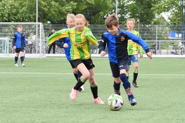 Fc Harlingen nieuws week 22 - 2025