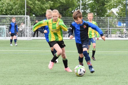 Fc Harlingen nieuws week 22 - 2025