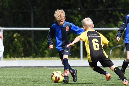 Fc Harlingen nieuws week 23 - 2026