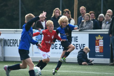 Fc Harlingen nieuws week 40 - 2025