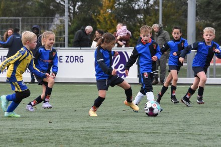 Fc Harlingen nieuws week 44 - 2026