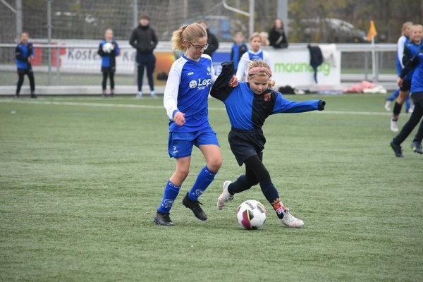 Fc Harlingen nieuws week 46 - 2024