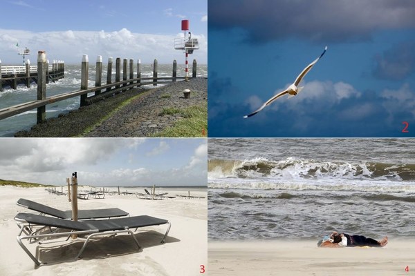 Fotoclub Kimswerd sluit seizoen af op Vlieland