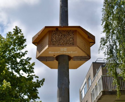 Harlingen bouwt aan een bij-vriendelijke buurt met Streetlight Bee&Bee!