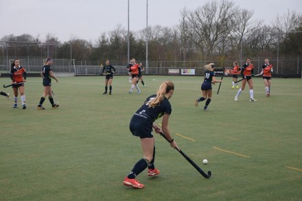 HMHC nieuws week 46 - 2023