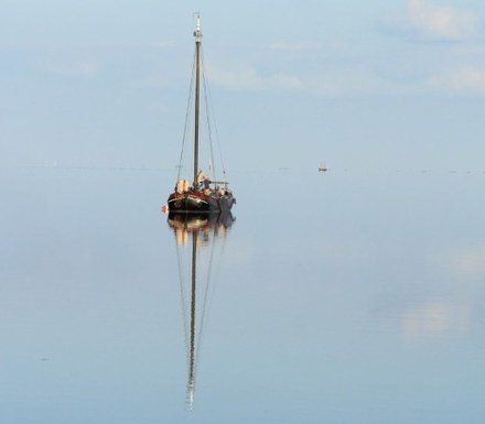 Nieuwe expositie in Het Brouwdok: Wie doet je wad