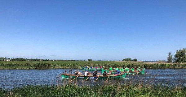 Sterke prestaties Harlinger roeiploegen tijdens Iepen Frysk Kampioenskip