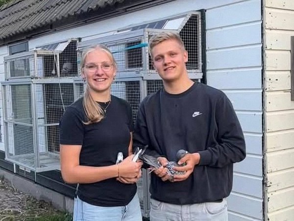 P.V. Ons-Genoegen: Pieter & Aafke Buren domineren derde Jonge-Duivenvlucht