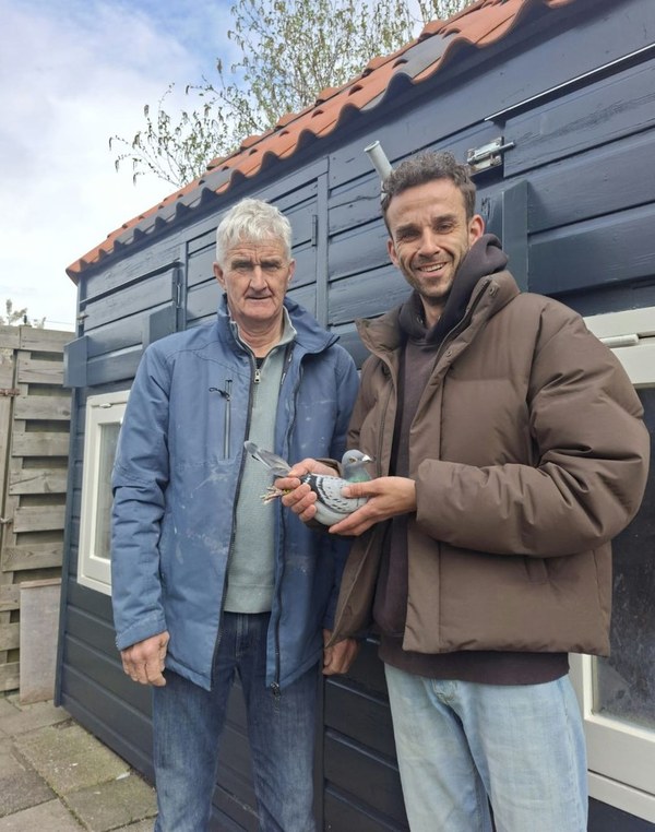 P.V. Ons Genoegen: Sjoerd & Rutger Zwart winnen eerste Vitesse‑vlucht vanuit Boxmeer