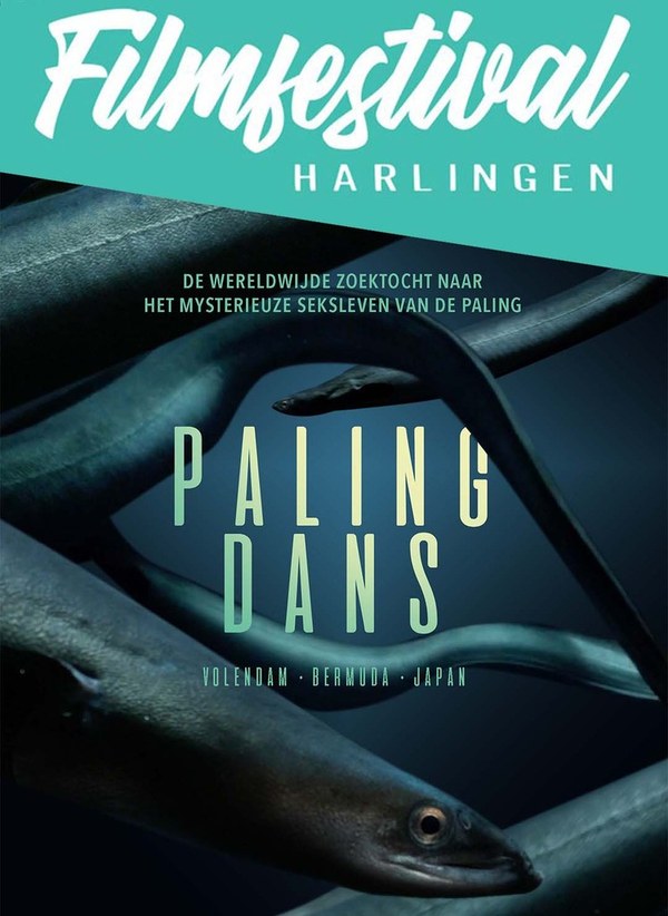 "Palingdans: Het onthulde geheim van de paling – een visueel avontuur"