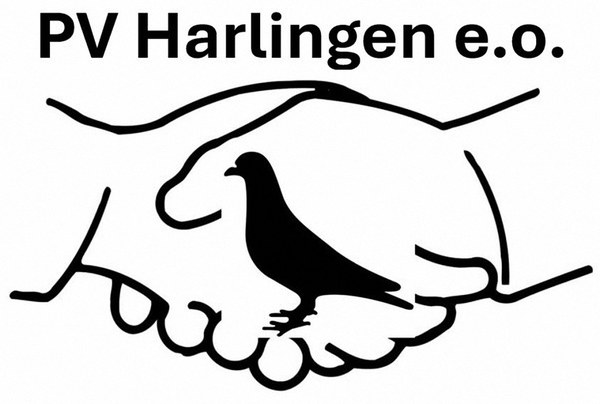 Postduivenhouders Harlingen willen fuseren
