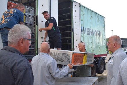 PV De Postduif: De aanhouders winnen