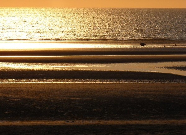 PvdA, GrienLinks en SP kritisch op effecten nieuwe zoutboorput Waddenzee en roept GS op tot actie