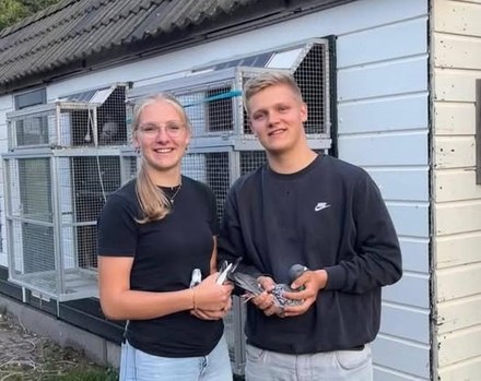 Sjoerd & Rutger Zwart grote winnaar op Fondvlucht en Pieter & Aafke Buren pakken zege bij Jonge Duiven