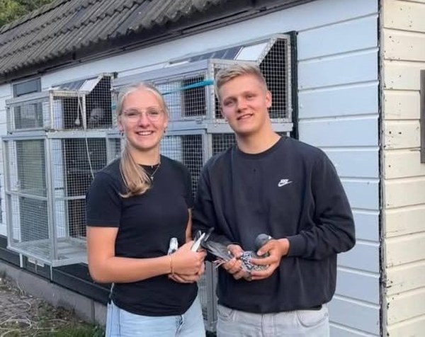 Sjoerd & Rutger Zwart grote winnaar op Fondvlucht en Pieter & Aafke Buren pakken zege bij Jonge Duiven