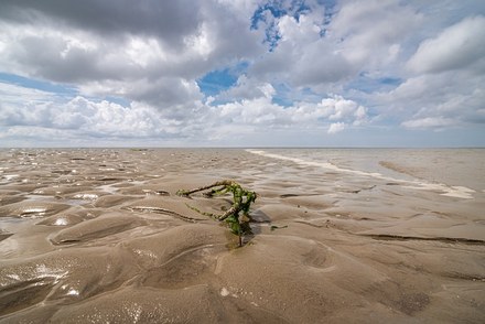 Succesvolle subsidie voor Programma Gastheerschap brengt duurzame toekomst Waddengebied dichterbij