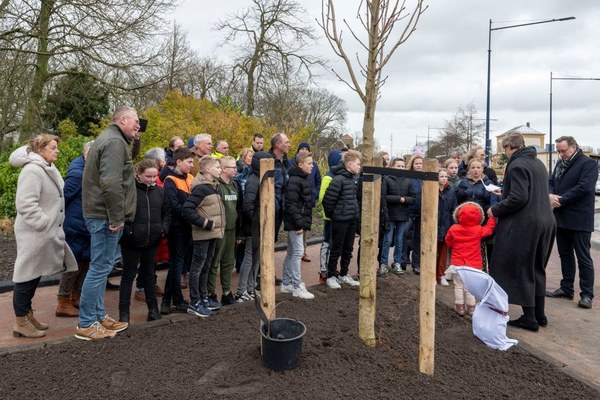 Tweede Anne Frankboom in Friesland geplant: symbool van verbinding en hoop