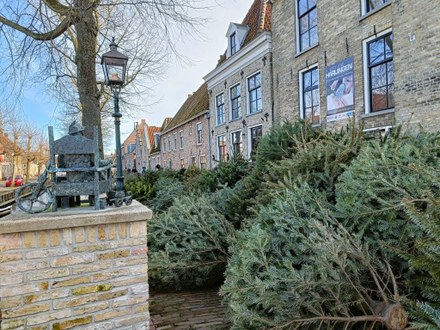 Uitslag Kerstboominzameling 2025