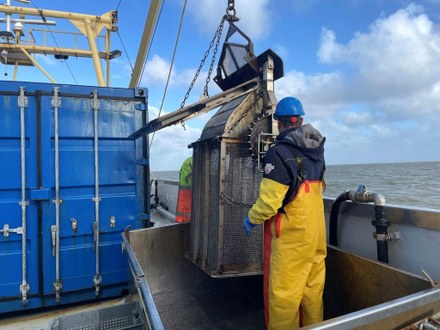 Vaargeul de Boontjes kent 95% minder baggerwerk: onderzoek naar natuurherstel in volle gang