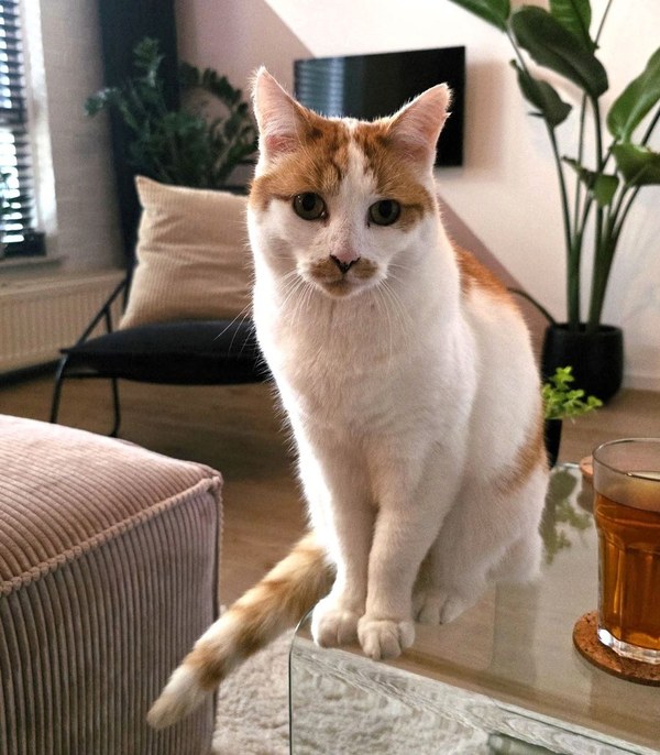 Vermist – Soep
